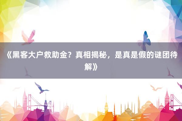 《黑客大户救助金？真相揭秘，是真是假的谜团待解》