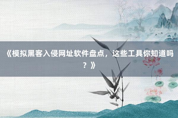 《模拟黑客入侵网址软件盘点，这些工具你知道吗？》